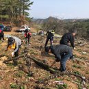 상촌면사무소 이미지