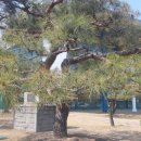 시민운동장 실내빙상장 이미지