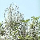 무안북중학교 이미지