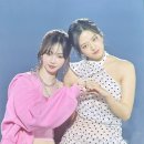 댕댕이와냥이 이미지