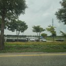 대부농장 | 안산 대부도 대부포도축제 다녀왔어요