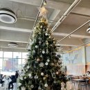 강릉대형점 | 강릉 사천 오션뷰 카페 곳 사천해변 대형 베이커리카페 후기