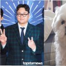 꽃분이 헤어