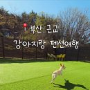 메르시 풀빌라 이미지