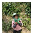 운남농장 이미지