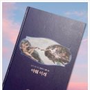 차수은혜 | 가톨릭청년성서모임 창세기_함께하는 12주 신앙 성장기(Feat.창세기연수안내)