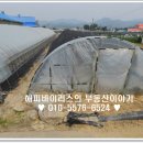 하이리 공장