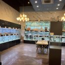 도그마루 강아지 고양이 분양 여주·원주점 이미지