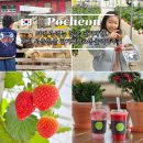 동산농장 | 포천 서운동산 딸기체험 동물 먹이주기체험 zip