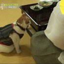 상귀농장