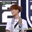 그루비펫 이미지