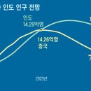 차이나부자