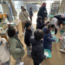 작은동물원 이미지