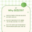 현지식품 네이버블로그