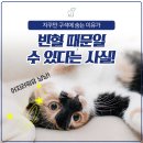 신영통동물병원 이미지