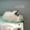 랙돌하우스 이미지