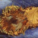 햇빛 찬란한 그 길 이미지