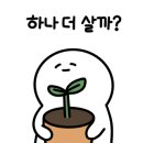 꽃말호프 이미지