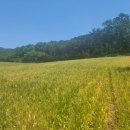 (주)진면가 이미지