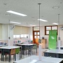 양지고등학교 이미지