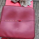 백용낚시터 | 일산 백용 낚시터 서울 근교 수도권 붕어 낚시 추천(ft.내림낚시 편대 올림낚시)