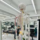 하이퍼짐 이미지