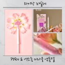 지엔지플러스 | 질탄력 고민될 때 선택한 와이닥노빌레 이너케어젤 Y존케어 후기