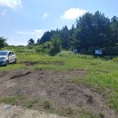 구좌공설묘지 이미지