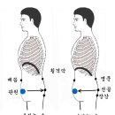 단전호흡 이미지