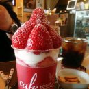 요거프레소 봉곡테마공원점 이미지