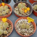 가조농장 이미지