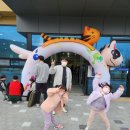 옥토어린이집 이미지