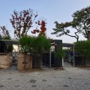 도룡 경로당 이미지