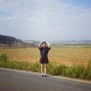 교로2리 | [당진여행]②글램핑/왜목마을/장고항