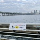 파라오 | 사사모 회원의 파라오의 이집트 전시 후기