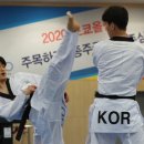 금빛스타태권도 이미지