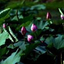 죽동체육공원 이미지