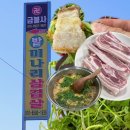 고성월계밭미나리