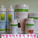 허벌라이프후기
