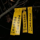 익산대로 이미지