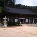 108-1-000009 Daum카페
