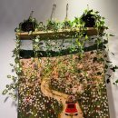 평산중앙로 이미지