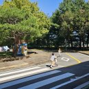 삼성화재 모빌리티뮤지엄 이미지