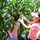 삼기농장 이미지