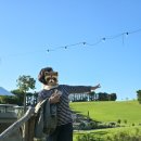 유황천모텔 | 엄마랑 뉴질랜드 여행기 2 : 와이헤케섬-머드브릭와이너리, 로토루아, 크라이스트처치, 테카포호수