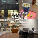 커핀테라 이미지