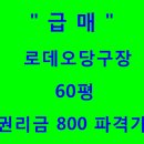 로데오당구장 이미지