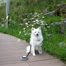 양정염포도서관 이미지