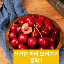 용이청과 이미지
