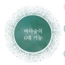 바다숲해양개발